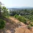 ขายที่ดิน ใน วิชิต, ภูเก็ต, วิชิต