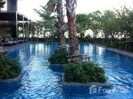 1 Bedroom Condo for rent at The Address Asoke, Makkasan, Ratchathewi