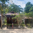  Grundstück zu verkaufen in Ko Pha-Ngan, Surat Thani, Ban Tai, Ko Pha-Ngan