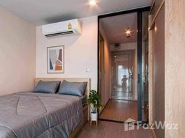 อพาร์ทเม้นท์ 1 ห้องนอน ให้เช่า ในโครงการ ไลฟ์ ลาดพร้าว, จอมพล, จตุจักร, กรุงเทพมหานคร