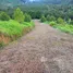  Grundstück zu verkaufen in Bang Kaeo, Ranong, Bang Kaeo, La-Un, Ranong