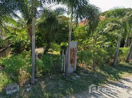 ขายที่ดิน ใน ตลาดบางเขน, กรุงเทพมหานคร, ตลาดบางเขน