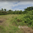  Land for sale in Thap Tai, Hua Hin, Thap Tai