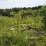  Terreno (Parcela) en venta en Laratama, East Nusa Tenggara, Laratama, Sumba Barat, East Nusa Tenggara