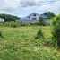  Земельный участок for sale in Тхап Таи, Хуа Хин, Тхап Таи, Хуа Хин, Прачуап Кири Кхан