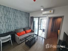 1 Bedroom Condo for rent at Ideo Sukhumvit 93, Bang Chak, Phra Khanong