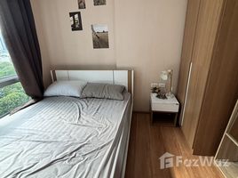 คอนโด 1 ห้องนอน ให้เช่า ในโครงการ เดอะ เบส สุขุมวิท 77, พระโขนงเหนือ