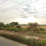  Land for sale in Chai Nat, Khung Samphao, Manorom, Chai Nat