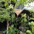  Land for sale in Phanom Surat Thani, Phanom, Phanom, Surat Thani