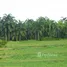  Terreno for sale in Autazes, Amazonas, Autazes