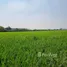  Land for sale in Khlong Luang Pathum Thani, Khlong Nueng, Khlong Luang, Pathum Thani
