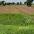  Land for sale in Mueang Khong, Nakhon Ratchasima, Mueang Khong, Khong