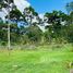  Land for sale in Limon, Pococi, Limon