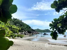 ขายที่ดิน ใน เกาะพะงัน, สุราษฎร์ธานี, เกาะพะงัน, เกาะพะงัน