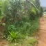  Land for sale in Perez Zeledon, San Jose, Perez Zeledon