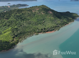  Grundstück zu verkaufen in Takua Thung, Phangnga, Lo Yung, Takua Thung, Phangnga, Thailand