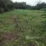  Land for sale in Takhu, Nakhon Ratchasima, Takhu, Pak Thong Chai, Nakhon Ratchasima