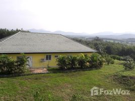 3 chambres Maison a vendre à Na Din Dam, Loei New House With Beautiful View Land For Sale