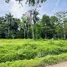  Terreno (Parcela) en venta en Costa Rica, Talamanca, Limón, Costa Rica