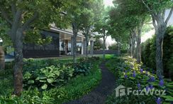 Фото 2 of the Communal Garden Area at Anil Sathorn 12