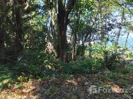 ขายที่ดิน ใน เทพกระษัตรี, ภูเก็ต, เทพกระษัตรี