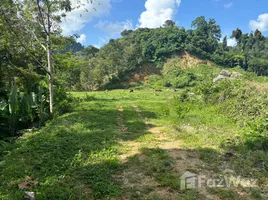  Terrain for sale in Phuket, Si Sunthon, Thalang, Phuket