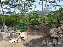N/A Tanah dijual di Cibadak, West Jawa Strategic Land For Sale in Cibadak