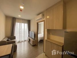 1 Bedroom Condo for rent at NIA By Sansiri, Phra Khanong Nuea