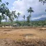  Terreno (Parcela) en venta en Koh Samui, Maenam, Koh Samui