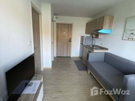 อพาร์ทเม้นท์ 1 ห้องนอน ให้เช่า ในโครงการ ดิ เอ็กเซล ไฮด์อะเวย์ สุขุมวิท 50 , พระโขนง