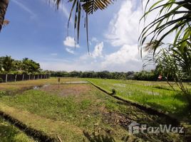  Land for sale in Tabanan, Bali, Tabanan