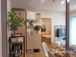 คอนโด 1 ห้องนอน ให้เช่า ในโครงการ ฟีล ภูเก็ต บาย เซนทรัล พัฒนา, วิชิต