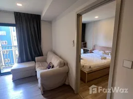 อพาร์ทเม้นท์ 1 ห้องนอน ให้เช่า ในโครงการ เดอะ เบส สุขุมวิท 50, พระโขนง