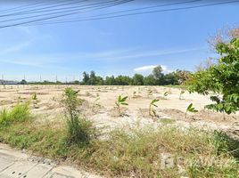  Grundstück zu verkaufen in Ban Bueng, Chon Buri, Ban Bueng, Ban Bueng