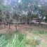  Land for sale in Costa Rica, Escazu, San Jose, Costa Rica