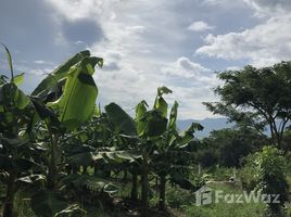  Terreno (Parcela) en venta en Honduras, Moroceli, El Paraiso, Honduras