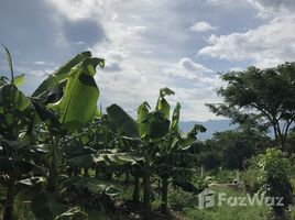  Terreno (Parcela) en venta en El Paraiso, Moroceli, El Paraiso