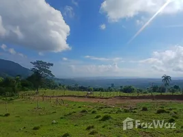 Terrain à vendre à Puerto Plata, San Felipe De Puerto Plata, Puerto Plata