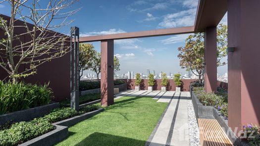 Фото 1 of the Communal Garden Area at Lumpini Place Ratchada-Sathu