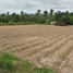  Land for sale in Si Racha, Chon Buri, Khao Khan Song, Si Racha