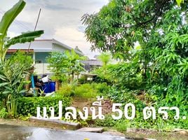  Terreno (Parcela) en venta en Nakhon Ratchasima, Pak Chong, Pak Chong, Nakhon Ratchasima