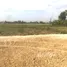  Land for sale in Lampang, Ton Thong Chai, Mueang Lampang, Lampang