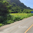  Land for sale in Thailand, Phaya Yen, Pak Chong, Nakhon Ratchasima, Thailand