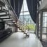 1 Bedroom Condo for rent at D65 Condominium, Phra Khanong Nuea, Watthana, Bangkok, Thailand