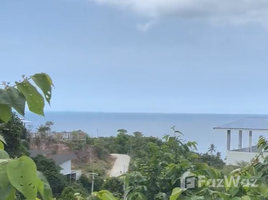  Grundstück zu verkaufen in Ko Pha-Ngan, Surat Thani, Ko Pha-Ngan, Ko Pha-Ngan