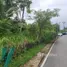  Terrain for sale in Chalong, Phuket Town, Chalong