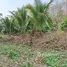  Land for sale in Chiang Dao, Chiang Mai, Chiang Dao, Chiang Dao
