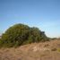  Terrain for sale in Villarino, Buenos Aires, Villarino