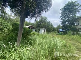  Land for sale in Thalang, Phuket, Si Sunthon, Thalang