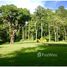  Land for sale in Golfito, Puntarenas, Golfito